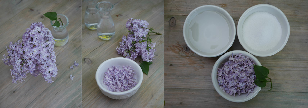 Lilac syrup. Cooking at home with step-by-step recipes.