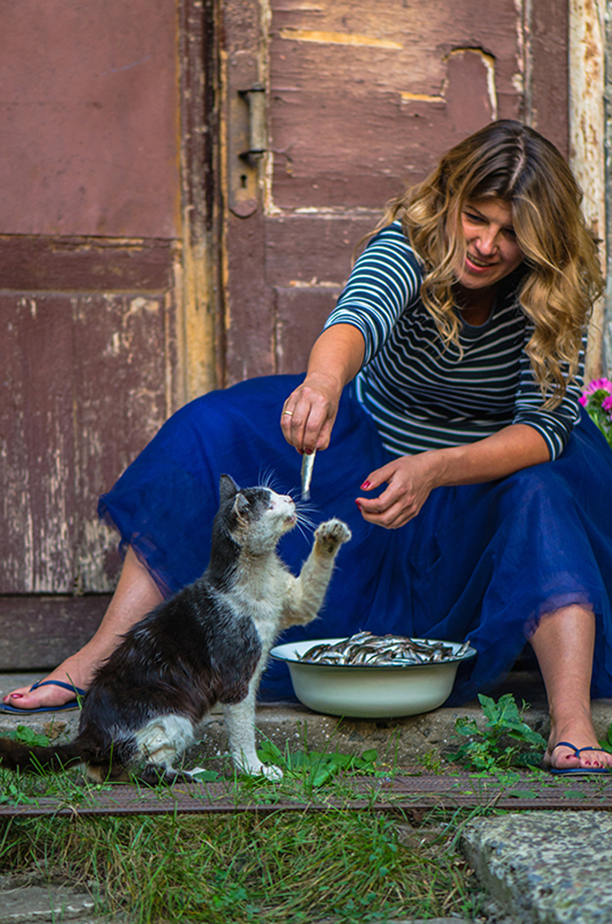 Cat eats sprat in Odessa. Maria Kalenska blog about odessa