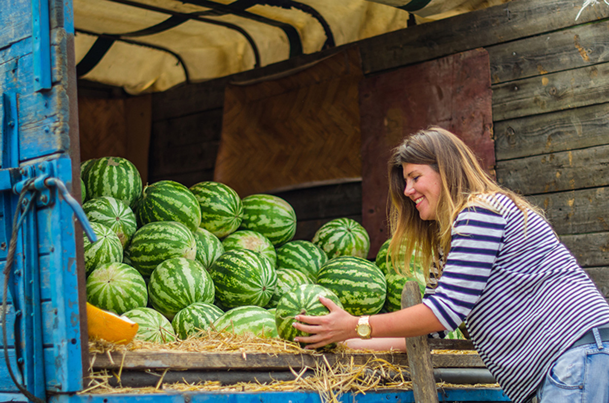 How to choose watermelons. Maria Kalenska food blog, Odessa.