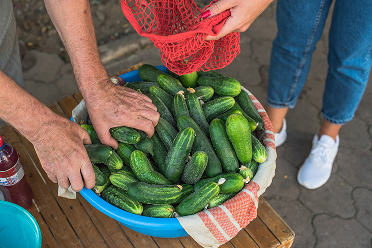 Green cucumbers. Maria Kalenska food blog, Odessa.