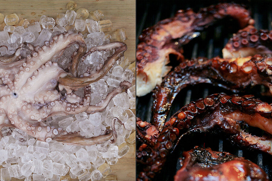 Grilled octopus. Greek cuisine dishes. Cooking school in Ukraine.