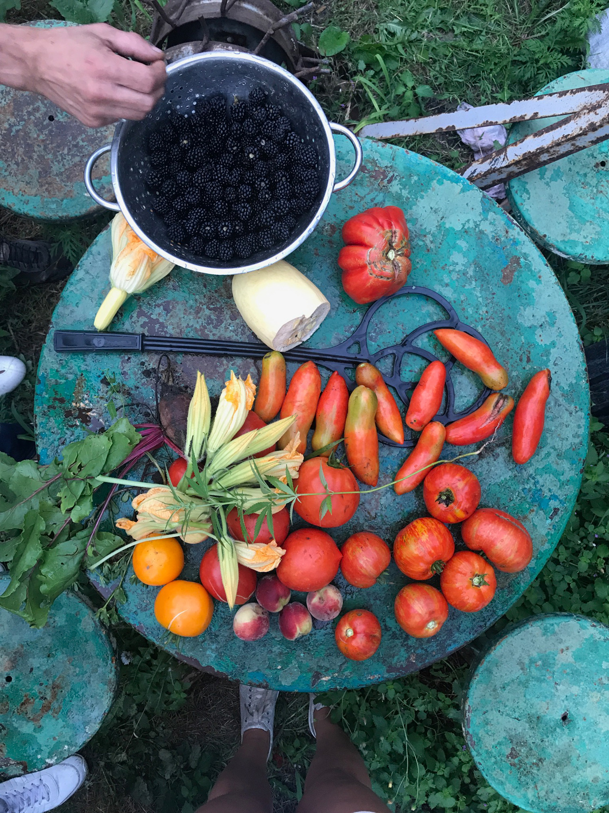 Berries and vegetables. Maria Kalenska food blog