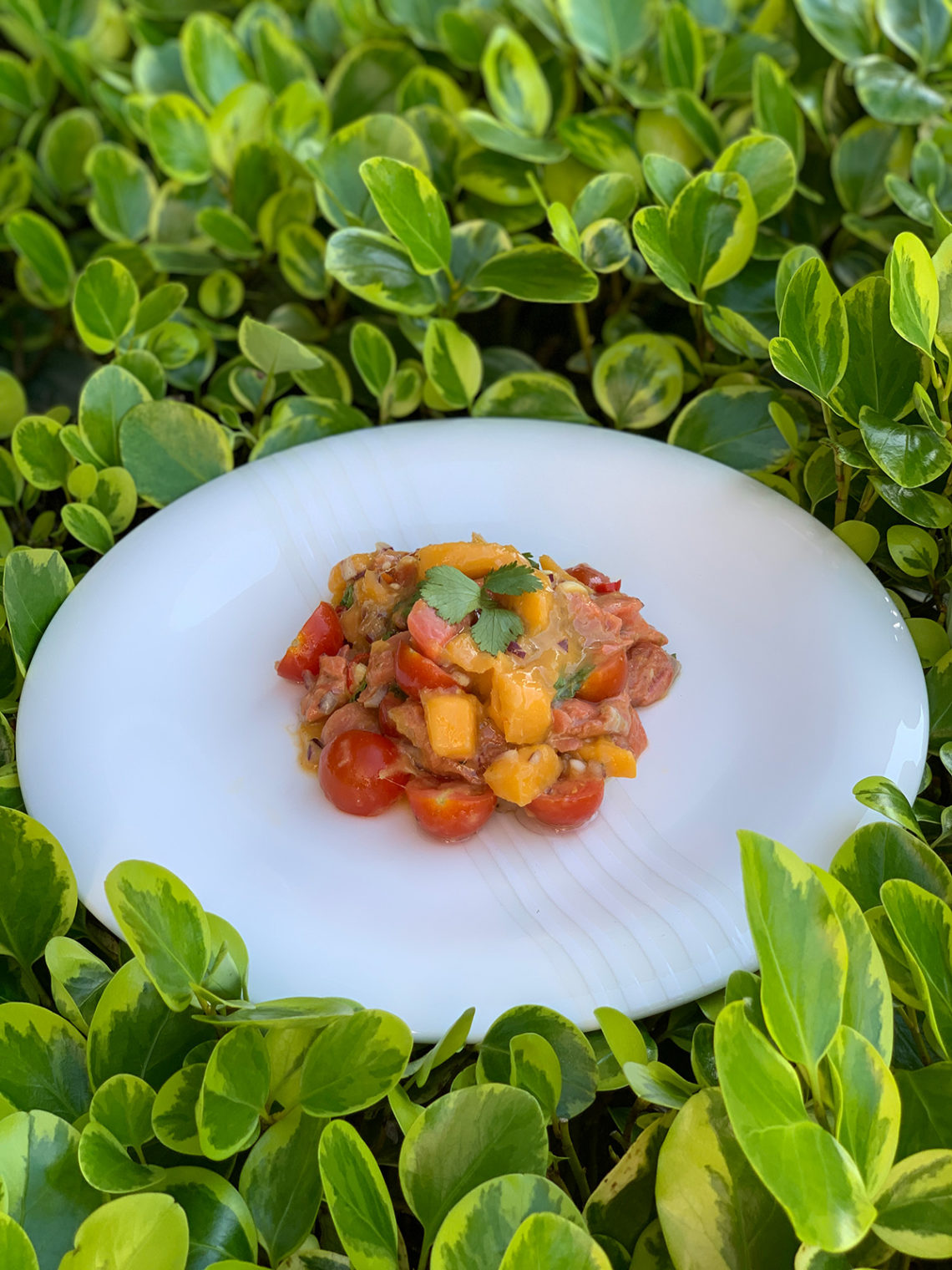 Lima ceviche by Andrei Velichko. Home cooking recipes with step-by-step photos.