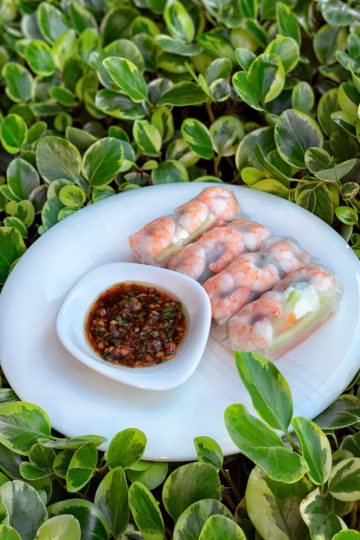 Spring rolls. Cooking tips from famous chefs.