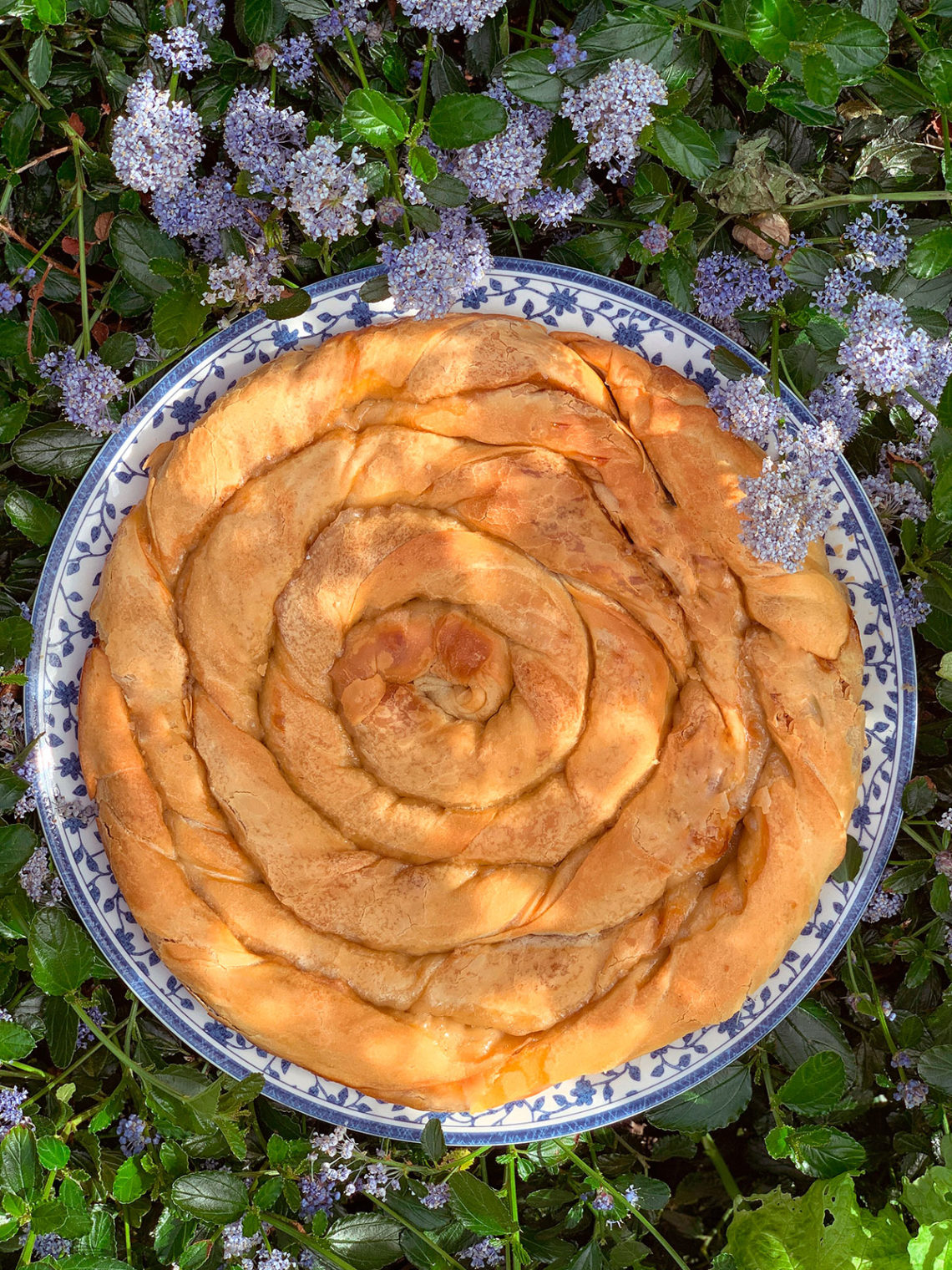 Apple vertuta pastry. Delicious recipes from famous chefs.