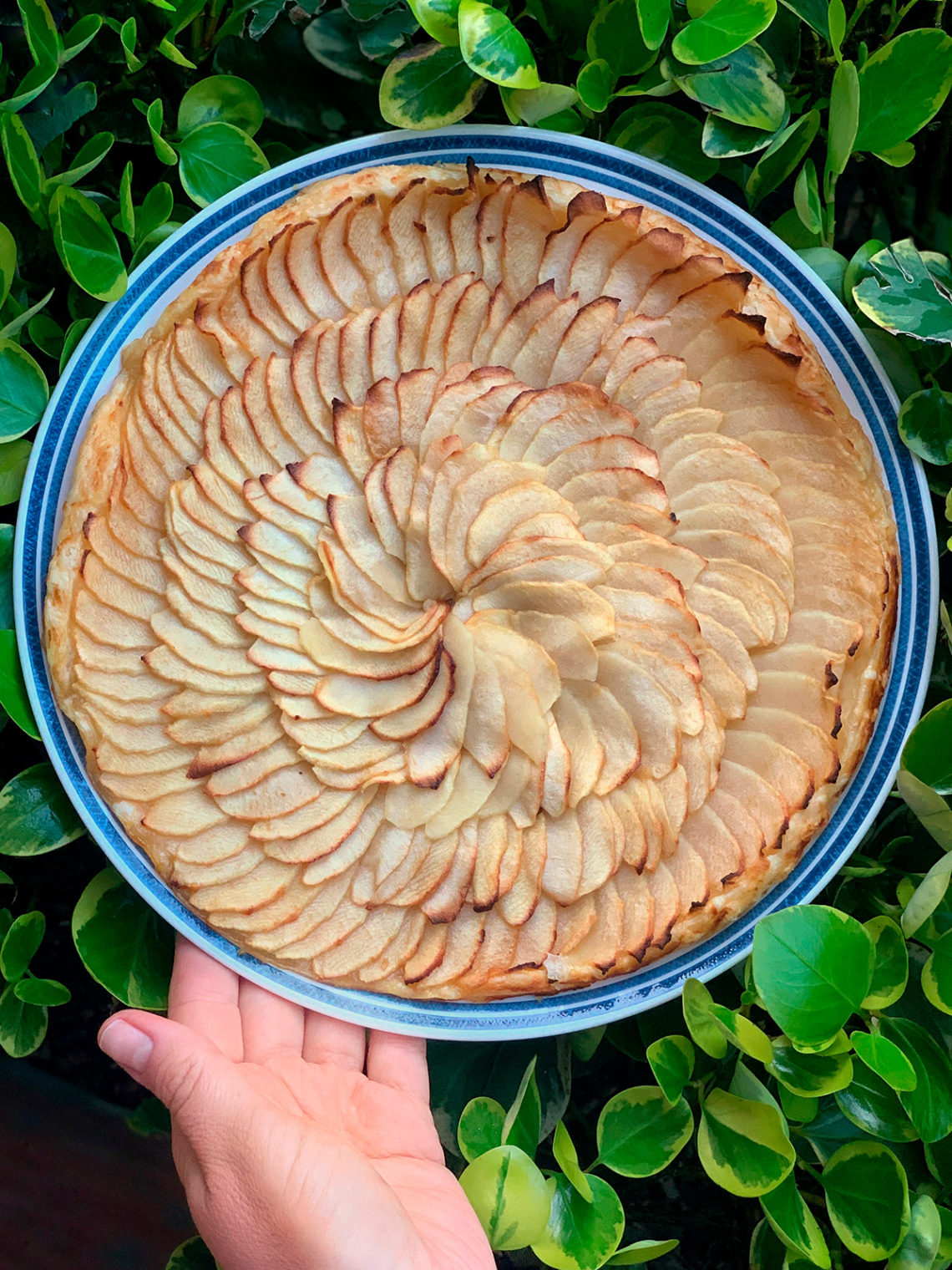 Apple tart with caramel touch. Cooking at home with step-by-step recipes.